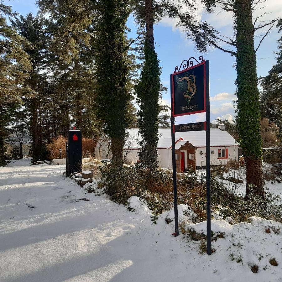 Back2Roots - Beautifully Restored Cottage, Doochary Esterno foto